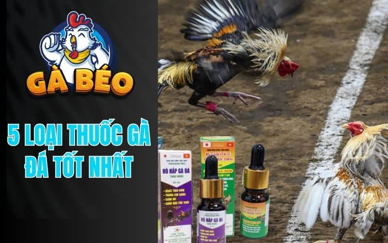 5 loại thuốc gà đá tốt nhất hiện nay