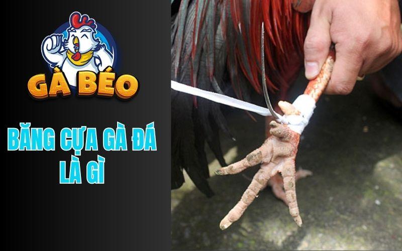  Băng cựa gà đá là kỹ thuật cố định cựa (cựa sắt, cựa dao) vào chân chiến kê