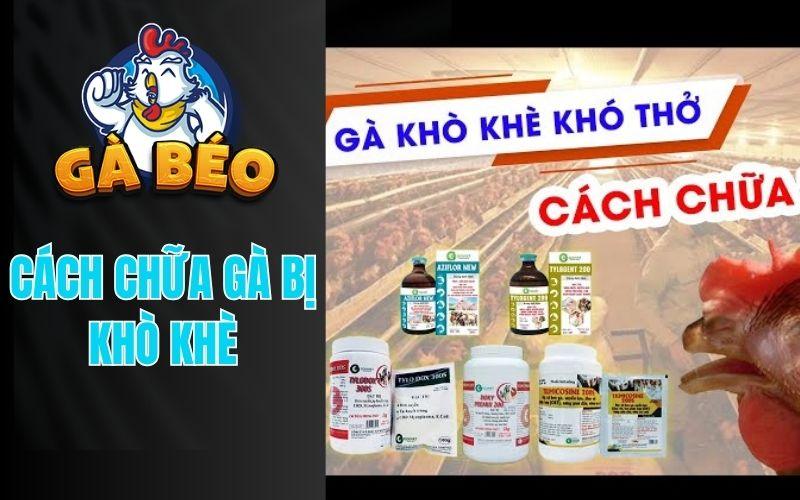 Hướng dẫn cách chữa gà bị khò khè, khó thở