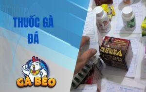 Thuốc Gà Đá Là Gì? Các Dạng Phổ Biến Và Top 5 Loại Tốt Nhất Hiện Nay