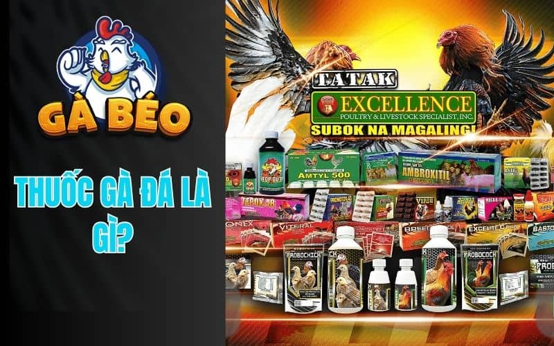 Thuốc gà đá là gì?