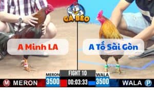 Trận 10 Bồ CPC3 21/06/2025 - Anh Minh Long An Và Anh Tố Sài Gòn