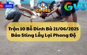 Trận 10 Bồ Dinh Bà 21/06/2025 - Bảo Sting Lấy Lại Phong Độ