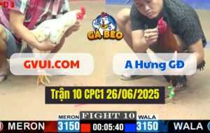 Trận 10 CPC1 26/06/2025 - Gà GVUI.COM Hạ Gọn Gà Anh Minh Gò Đen
