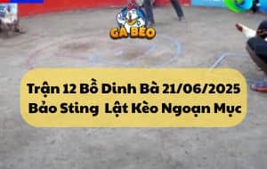 Trận 12 Bồ Dinh Bà 21/06/2025 - Bảo Sting Có Pha Lật Kèo Ngoạn Mục