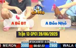 Trận 13 CPC1 28/06/2025 - Bảo Nhỏ Hạ Luôn Bướm Hiệu Của Bé Bến Tre