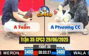 Trận 35 CPC3 29/06/2025 - Anh Phương Tóc Dài Náo Loạn Bồ C3