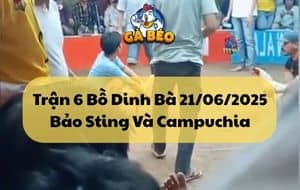 Trận 6 Bồ Dinh Bà 21/06/2025 - Bảo Sting Và Campuchia