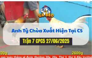 Trận 7 CPC5 27/06/2025 - Anh Tý Chùa Xuất Hiện Cùng Đăng Black Tại C5