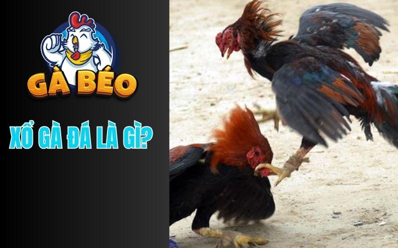 Xổ Gà Đá Là Gì?