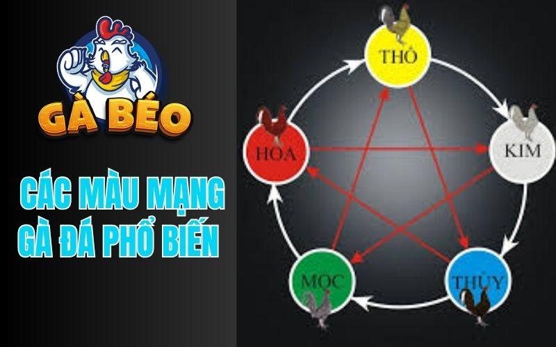 Các Màu Mạng Phổ Biến Ở Gà Đá