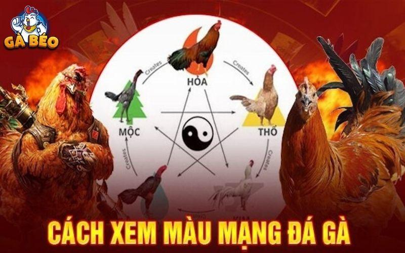 Kim-mộc-thủy-hỏa-thổ gà đá
