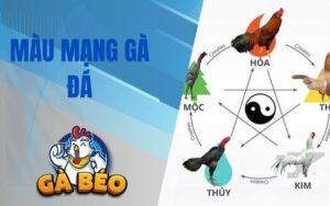 Màu Mạng Gà Đá Là Gì? Hướng Dẫn Cách Xem Chi Tiết Nhất Cho Sư Kê