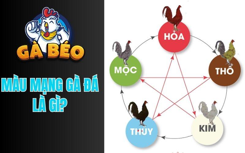 Màu mạng gà đá là yếu tố quan trọng trong việc dự đoán kết quả trận đấu gà.