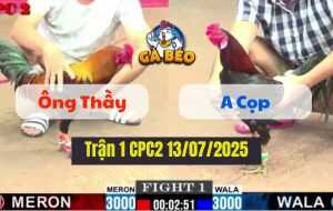 Trận 1 CPC2 13/07/2025 - Gà Ông Thầy Ra Quân Quá Thuận Lợi