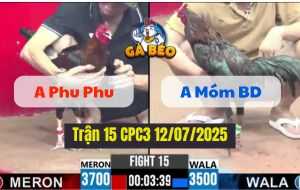 Trận 15 CPC3 12/07/2025 - Anh Phu Phu Vs Anh Móm Bình Dương