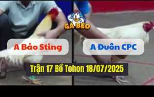 Trận 17 Giải Bồ Tonhon 18/07/2025 - Anh Bảo Sting Vs Anh Đuôn CPC