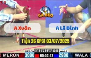 Trận 26 CPC1 03072025 - Gà Anh Xuân Hạ Gà Anh Lê Bình Gục Tại Chỗ