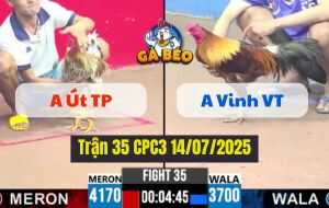 Trận 35 CPC3 14/07/2025 - Gà Anh Vinh Vũng Tàu Nhỏ Mà Có Võ