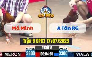 Trận 8 CPC3 17/07/2025 - Gà Idol Tân Rạch Giá Đâm Toàn Mu Lưng