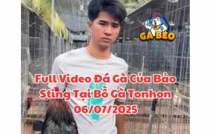 Full Video Đá Gà Của Bảo Sting Tại Bồ Gà Tonhon 06/07/2025