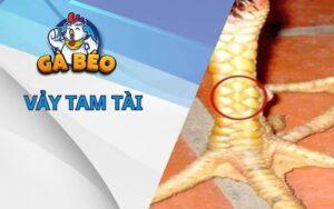 Vảy Tam Tài