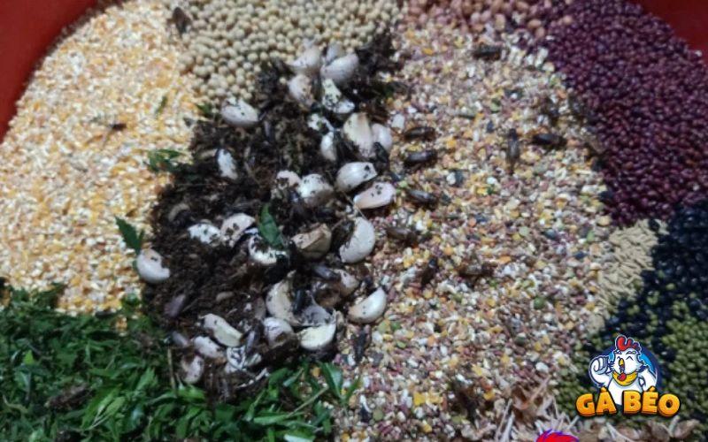 Điều chỉnh lượng thức ăn khi trong giai đoạn gà đá luyện tập Điều chỉnh lượng thức ăn khi trong giai đoạn gà đá luyện tập