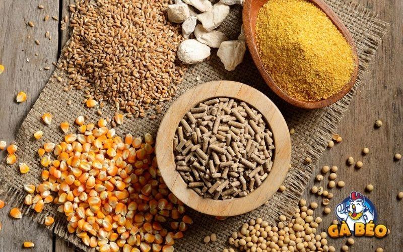Điều chỉnh tỷ lệ ngũ cốc nền Điều chỉnh tỷ lệ ngũ cốc nền