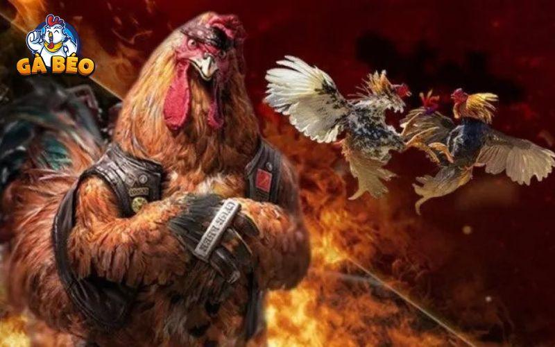 Đá Gà Trực Tiếp cập nhật kết quả trên bảng kết quả cực nhanh chóng Đá Gà Trực Tiếp cập nhật kết quả trên bảng kết quả cực nhanh chóng