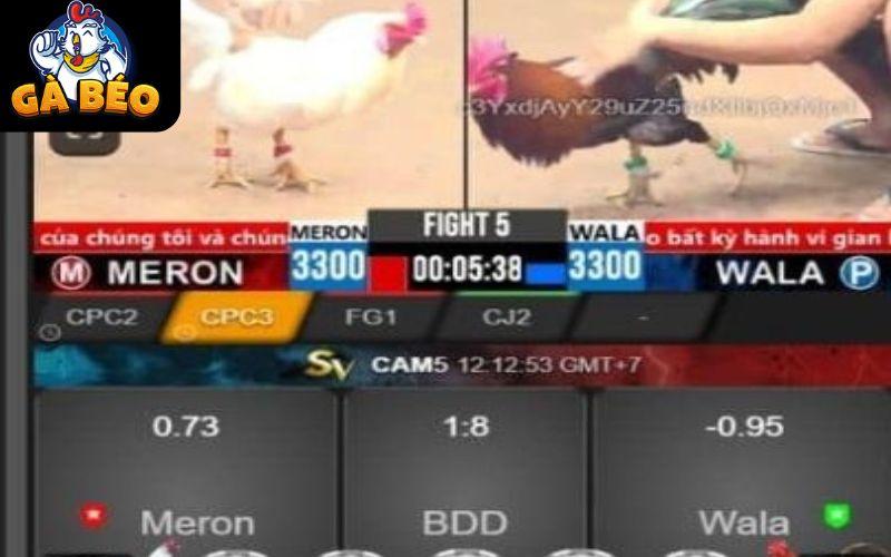 Giao diện được thiết kế tối ưu giúp người chơi đặt cược đơn giản Giao diện được thiết kế tối ưu giúp người chơi đặt cược đơn giản