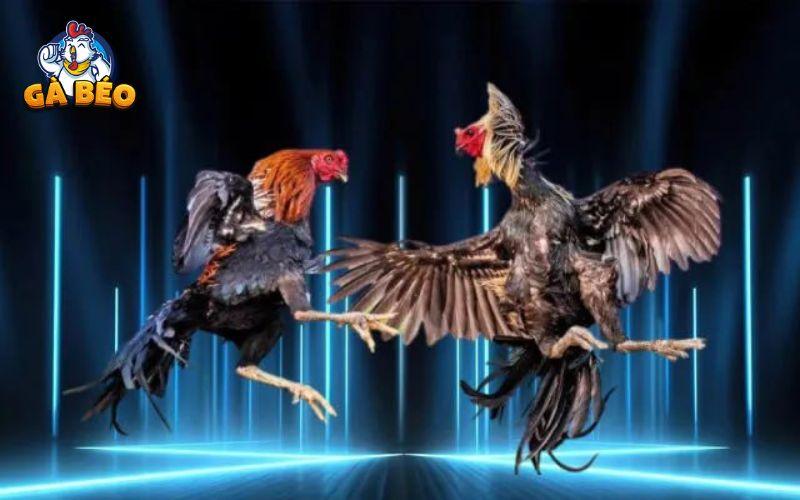 Hình ảnh được phát sóng sắc nét Hình ảnh được phát sóng sắc nét