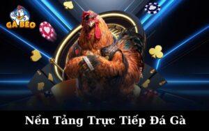 Nền Tảng Đá Gà Trực Tiếp