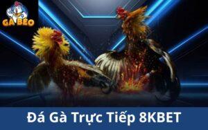 Đá Gà Trực Tuyến 8KBET