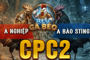 Bảo Sting Chấp 1 Ký Gà Ngay Từ Trận Đầu Tiên Và Cái Kết - Trận 1 Bồ CPC2 24/3/2026