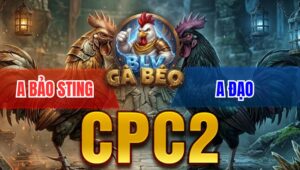 Trận 10 Bồ CPC2 31/3/2026 - Điều Nhập Idol Đá Bít Cửa Gà Bướm Không Có Đường Ra