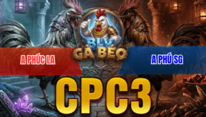 Trận 10 Bồ CPC3 26/3/2026 - Đỏ Má Minh Đá Đúng 3 Chân Bưng Chuối Hiệu Ra Sân