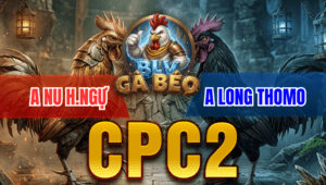 Trận 4 Bồ CPC2 17/3/2026 - Long Phục Thù Thành Công Anh Nu Giống Như Kịch Bản Cũ