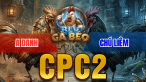 Trận 11 Bồ CPC2 28/3/2026 - Điều Đá Bướm Muốn Banh Bướm Đá Phản Lại 1 Chân Điều Ói