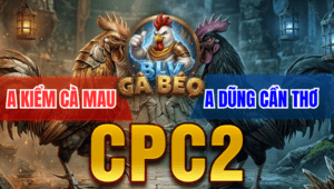 Trận 22 Bồ CPC2 17/03/2026 - Bướm Bươi Chà Đá Lọt Cây Cú Bỏ Chạy Bay Bồ