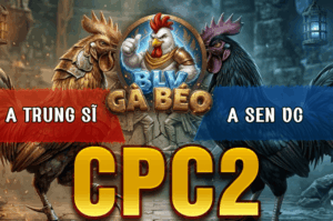 Trận 12 Bồ CPC2 20/3/2026 - Úa Chấp 5 Chấm Đá Đối Thủ Không Kịp Dở Chân