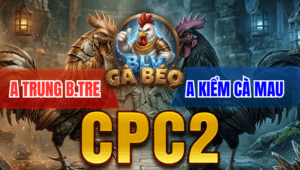 Trận 13 Bồ CPC2 23/3/2026 - Anh Kiểm Chấp Ngông Gặp Cọp Và Cái Kết