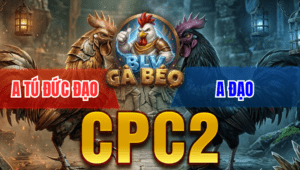 Trận 13 Bồ CPC2 24/3/2026 - Bướm Đá Điều Muốn Hư Điều Đá Lọt Lại Cây Ói