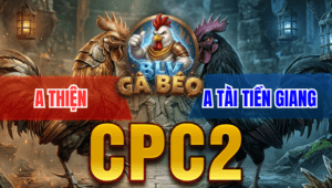 Trận 13 Bồ CPC2 18/3/2026 - Điều Giao Chân Quá Hay Bướm Gãy Chân Nằm Liệt