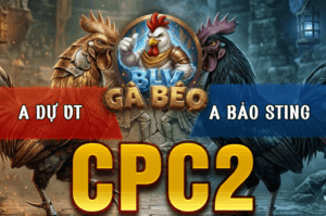 Trận 13 Bồ CPC2 20/3/2026 - Bướm Cọp Idol Đá Đúng 1 Tay Nước Đâm Đỏ Xỉu Tuyệt Đối