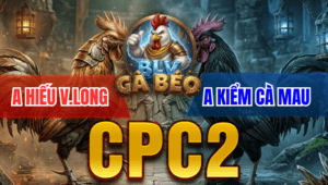 Trận 14 Bồ CPC2 24/3/2026 - Úa Chân Xanh Đá Lanh Gà Điều Chạy Bung Bồ