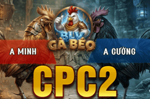 Trận 15 Bồ CPC2 20/3/2026 - Điều Cọp Idol Đá Cây Lọt Đâm Cú Ói Chết Từ Từ