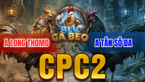 Trận 18 Bồ CPC2 25/3/2026 - Que Cọp Đâm Như Chĩa Hạ Khét Nhẹ Nhàng