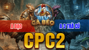 Trận 19 Bồ CPC2 24/3/2026 - Điều Xanh Mẻ Hiệu Quá Trâu Đá Đỏ Xì Phút 90