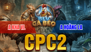 Trận 2 Bồ CPC2 26/3/2026 - Bướm Chưa Thả Đá Ăn 6 Buông Gà Uá Đá Như Con
