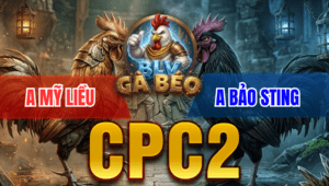 Siêu Kinh Điển Mỹ Liều Trạm Bảo Sting Chỉ 1 Tay Nước Có Kết Quả - Trận 2 Bồ CPC2 27/3/2026 -